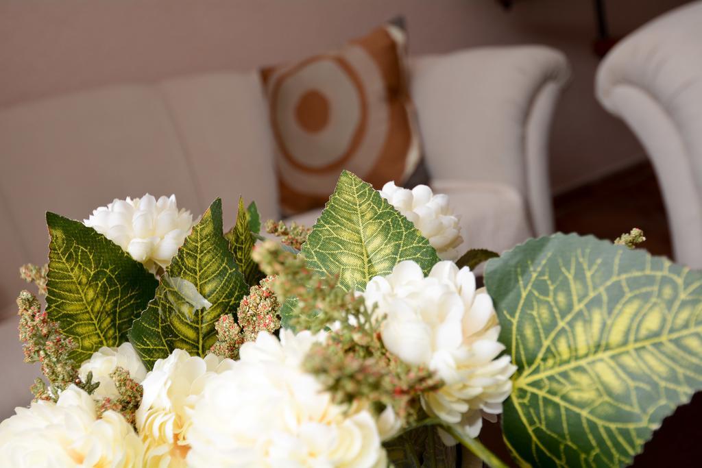 קוטור Apartments House 91 מראה חיצוני תמונה